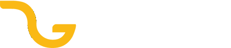 DG Web Expert